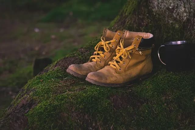 Najlepsze buty na każdą okazję